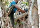 ଖରାଦିନେ ପଶୁପକ୍ଷୀଙ୍କ ସେବାରେସ ମାଜସେବୀ ପ୍ରତାପ ସାହୁ: Ommtv 