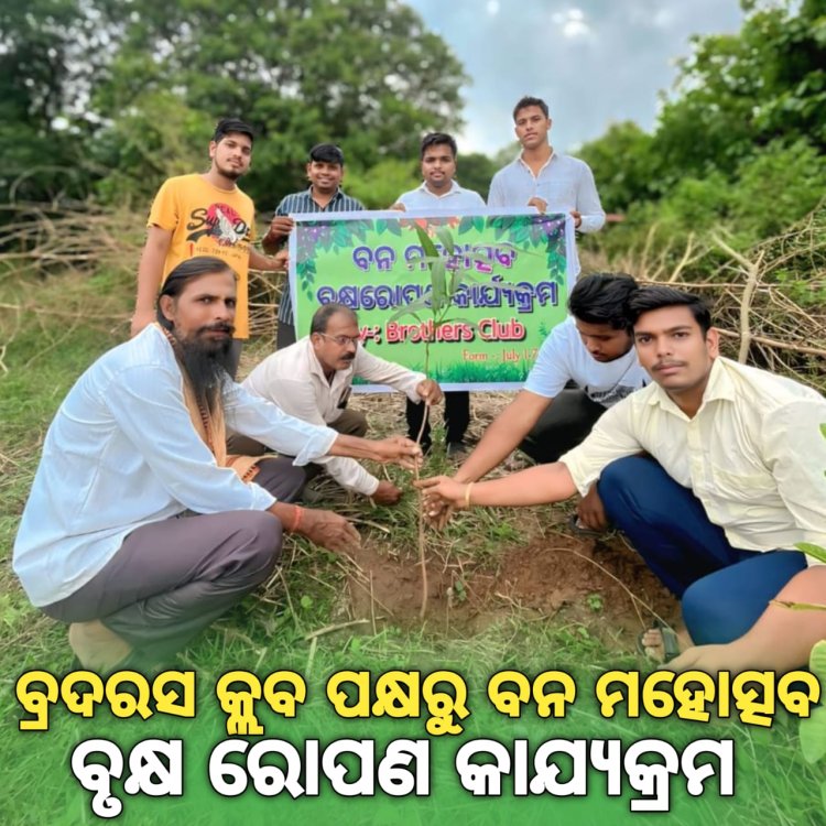 ବ୍ରଦରସ କ୍ଳବ ପକ୍ଷରୁ ବନ ମହୋତ୍ସବ : ommtv କଳିଙ୍ଗବିକାଶ