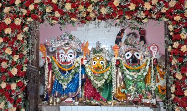 ଆଡପ ମଣ୍ଡପରେ କଚ୍ଛପ ବେଶରେ ଦିବ୍ଯ ଦର୍ଶନ ଦେଲେ ଚଧୂର୍ତ୍ତା ମୂର୍ତ୍ତି।